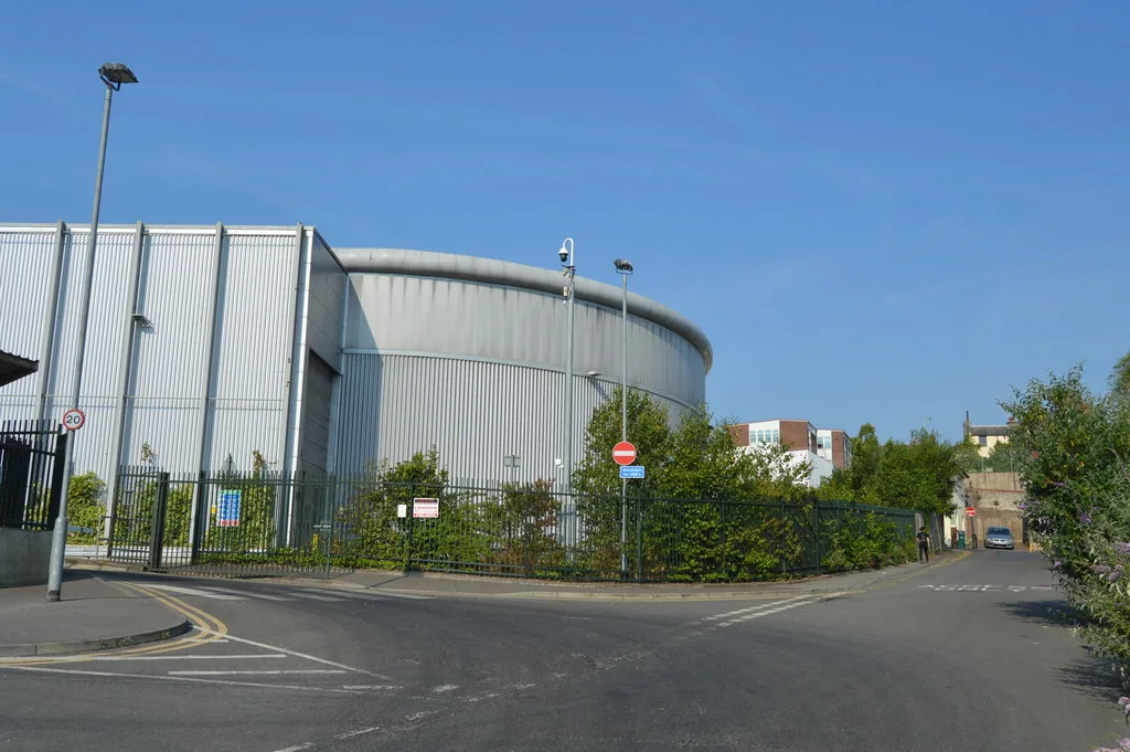 Brighton Bin Collection Days: How to Check Yours