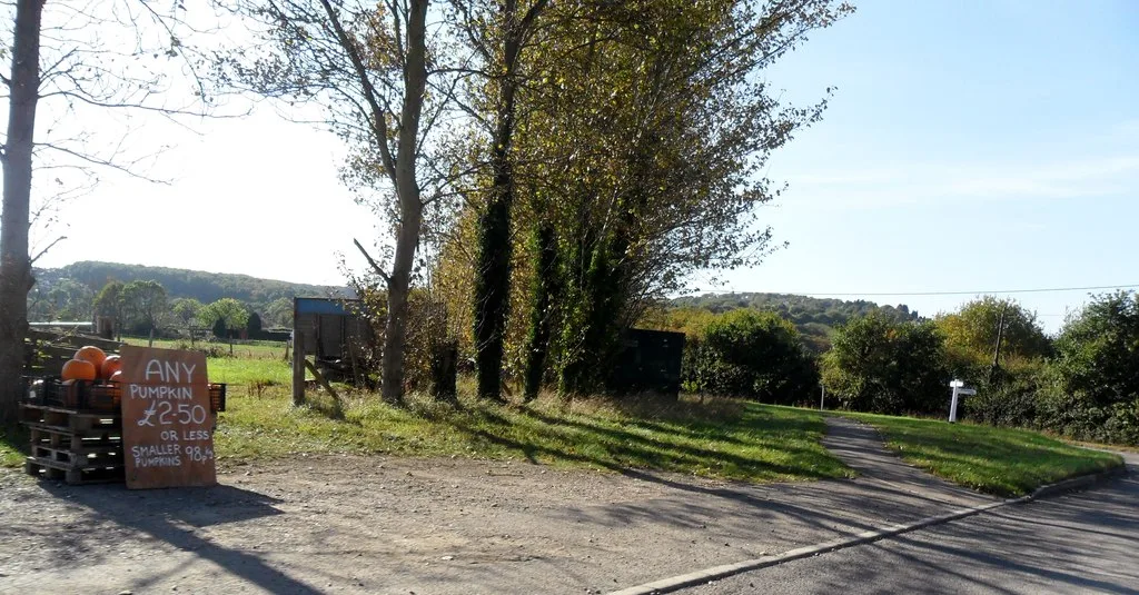 A roadside pumpkin stall near Fairlight in East Sussex; the nearest pick your own patch to Brighton is at Sompting