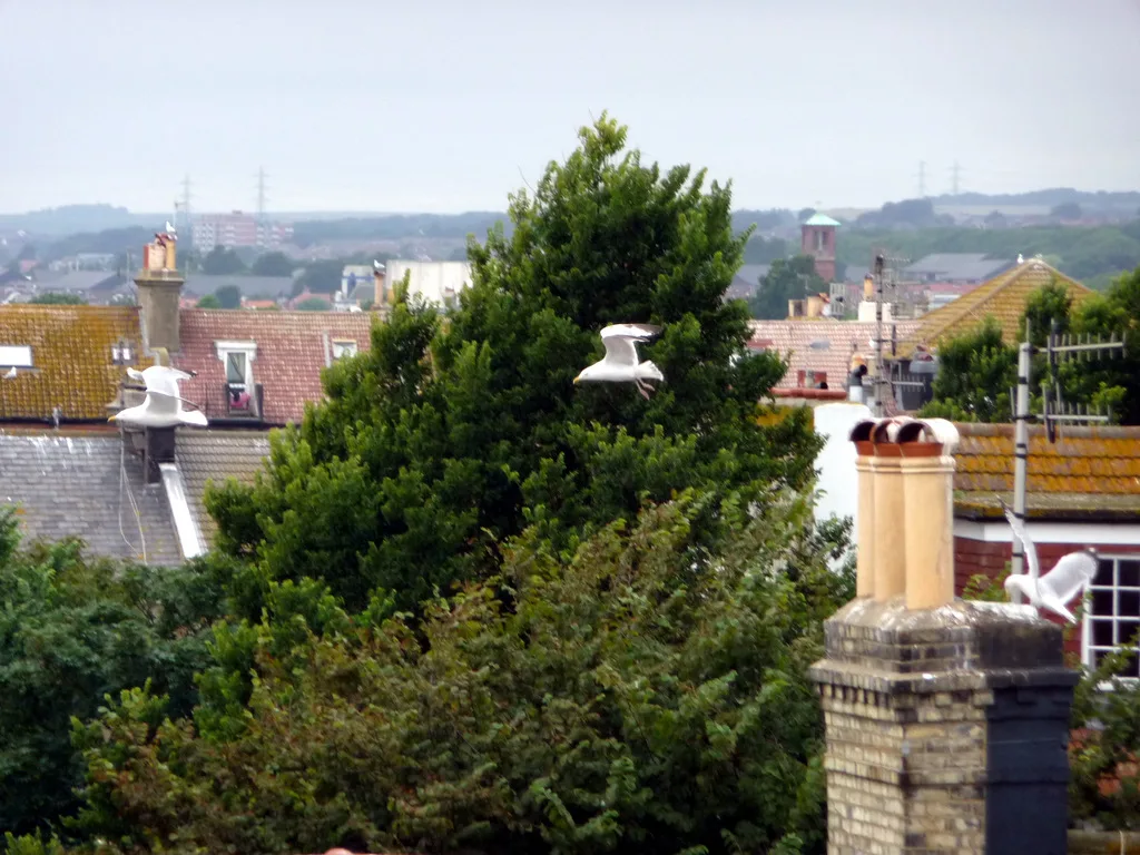 Chimneys on the rooftops of Hove, which has no smoke control area today.